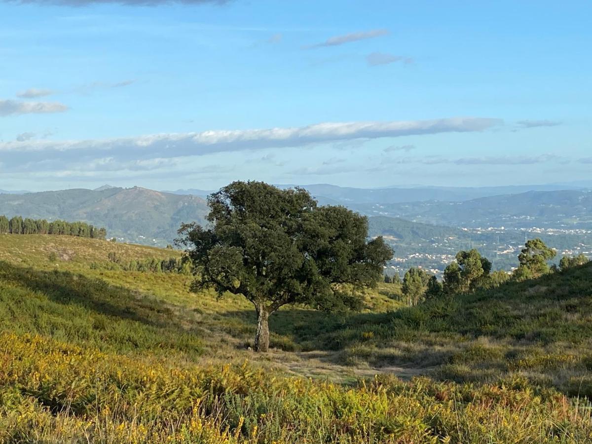 فيلا Quinta Abelha Pico المظهر الخارجي الصورة