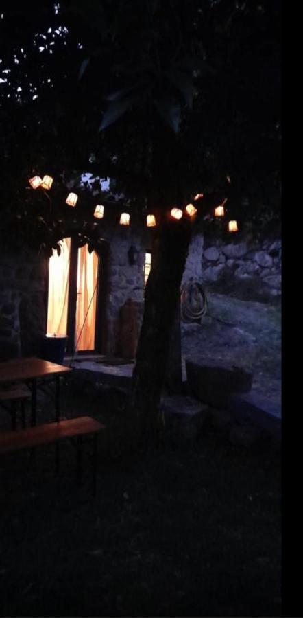 فيلا Quinta Abelha Pico المظهر الخارجي الصورة